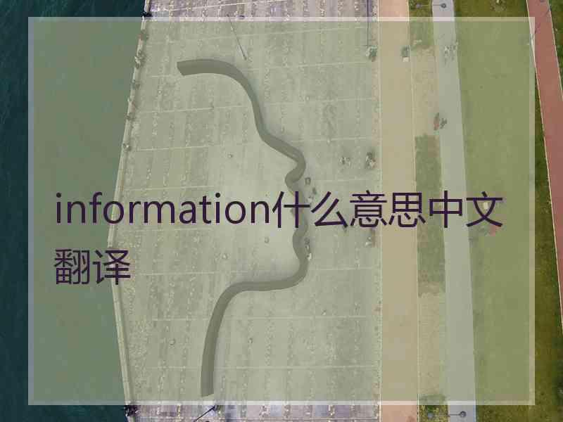 information什么意思中文翻译