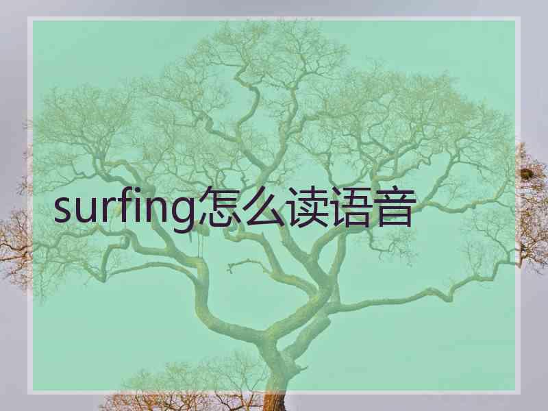 surfing怎么读语音