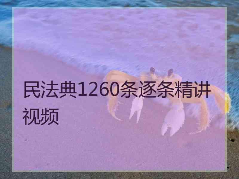 民法典1260条逐条精讲视频