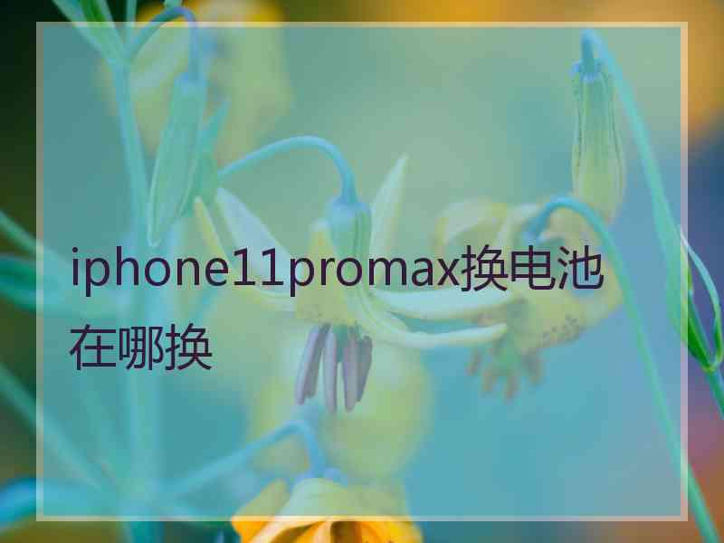 iphone11promax换电池在哪换