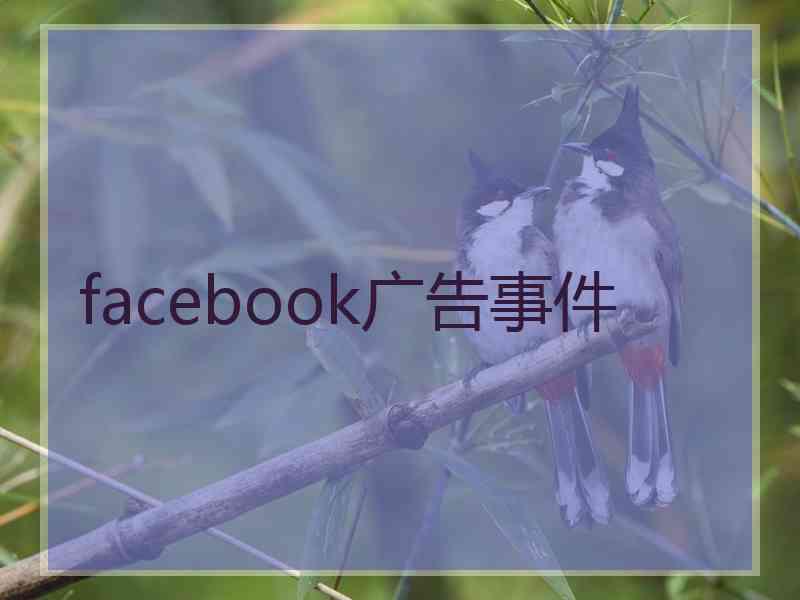 facebook广告事件