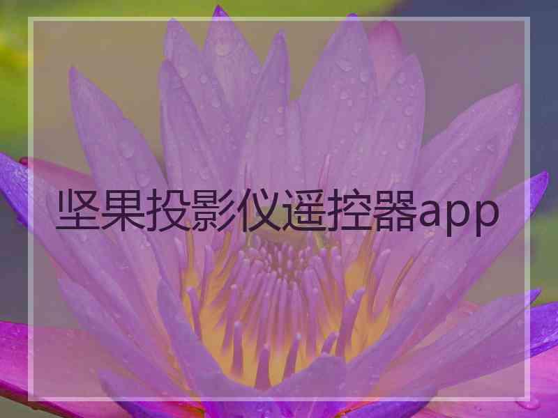 坚果投影仪遥控器app