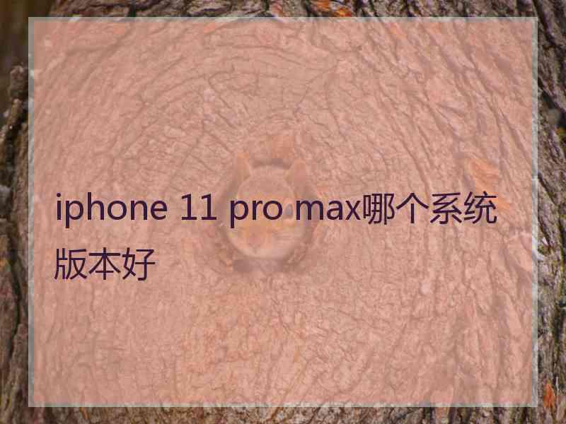 iphone 11 pro max哪个系统版本好