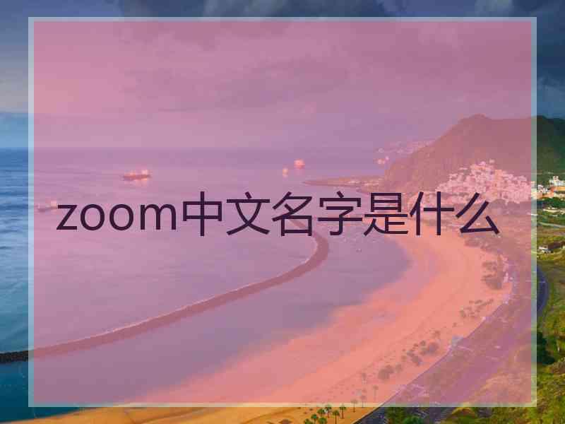 zoom中文名字是什么