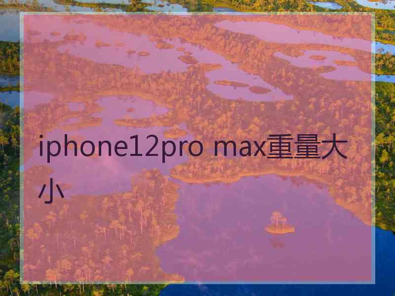 iphone12pro max重量大小