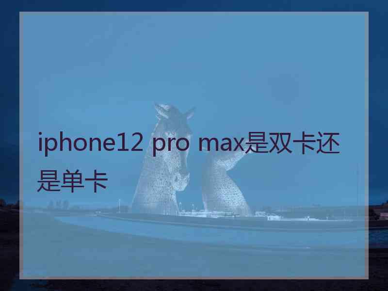 iphone12 pro max是双卡还是单卡