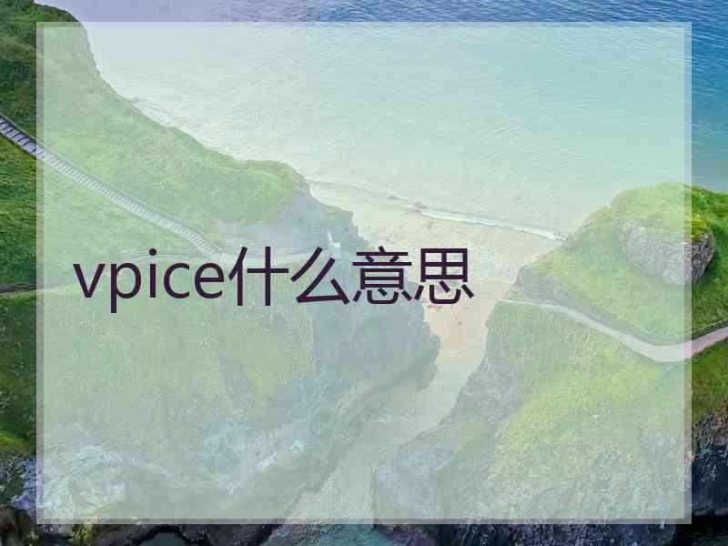 vpice什么意思