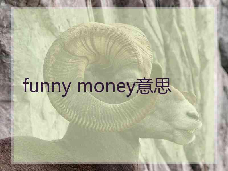 funny money意思