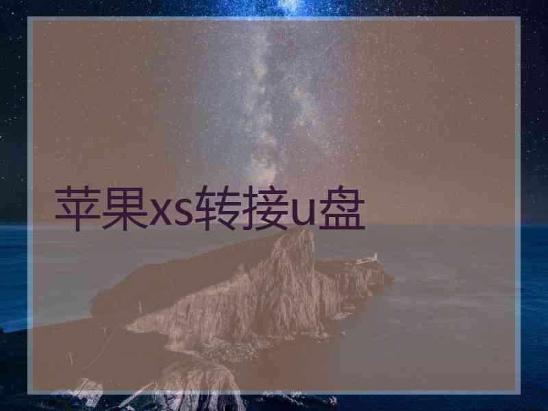 苹果xs转接u盘