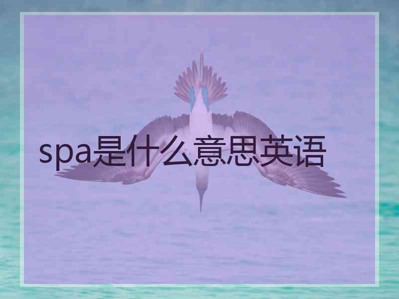 spa是什么意思英语