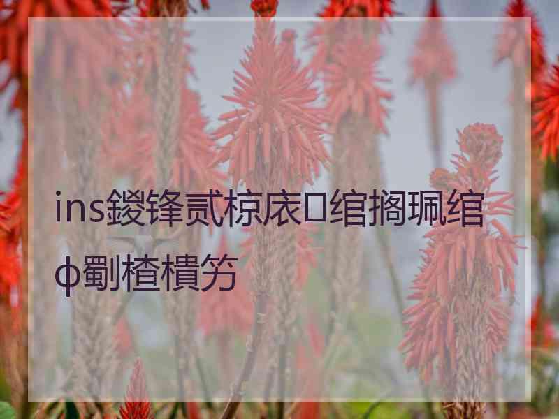 ins鍐锋贰椋庡绾搁珮绾ф劅楂樻竻