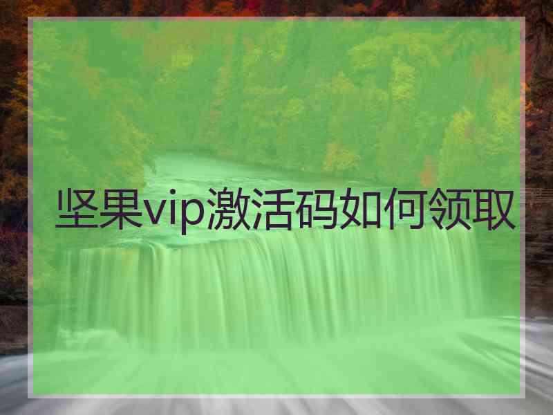 坚果vip激活码如何领取