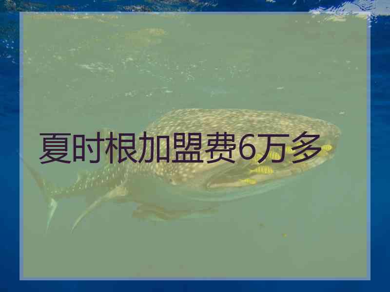 夏时根加盟费6万多