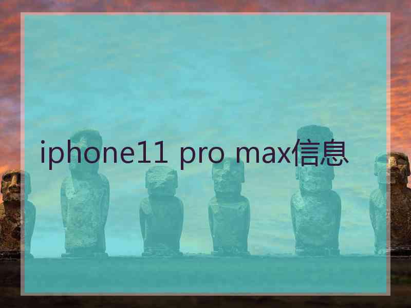 iphone11 pro max信息