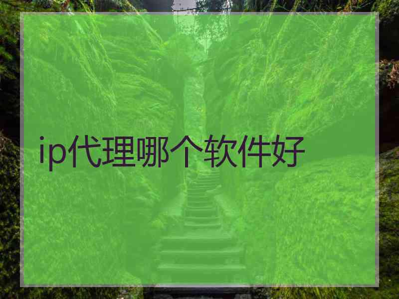 ip代理哪个软件好