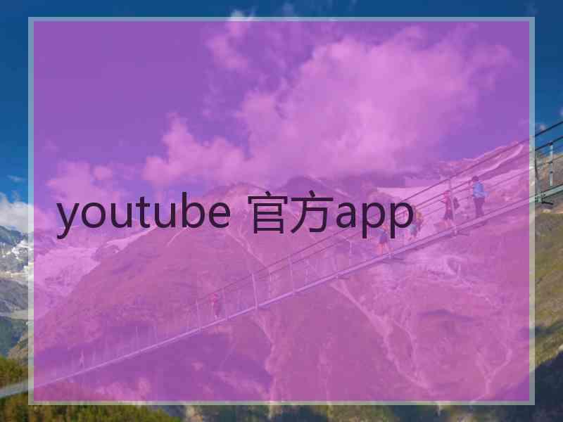 youtube 官方app