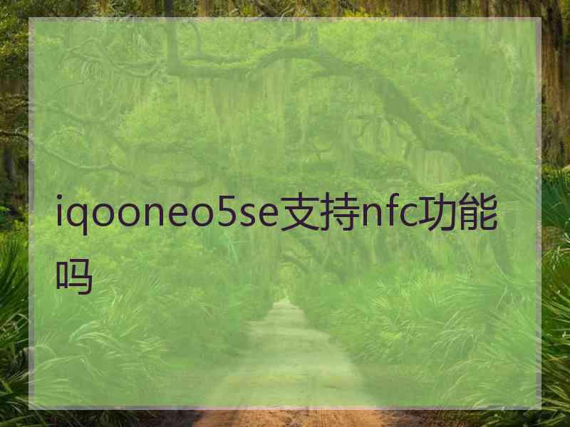 iqooneo5se支持nfc功能吗