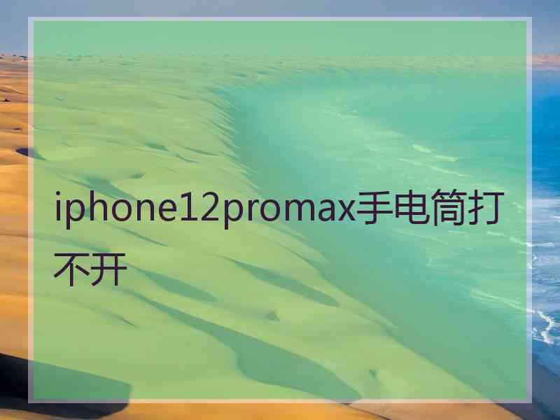 iphone12promax手电筒打不开