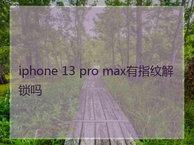 iphone 13 pro max有指纹解锁吗