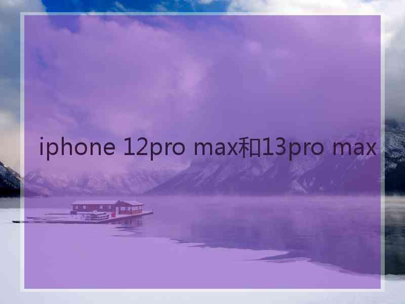 iphone 12pro max和13pro max