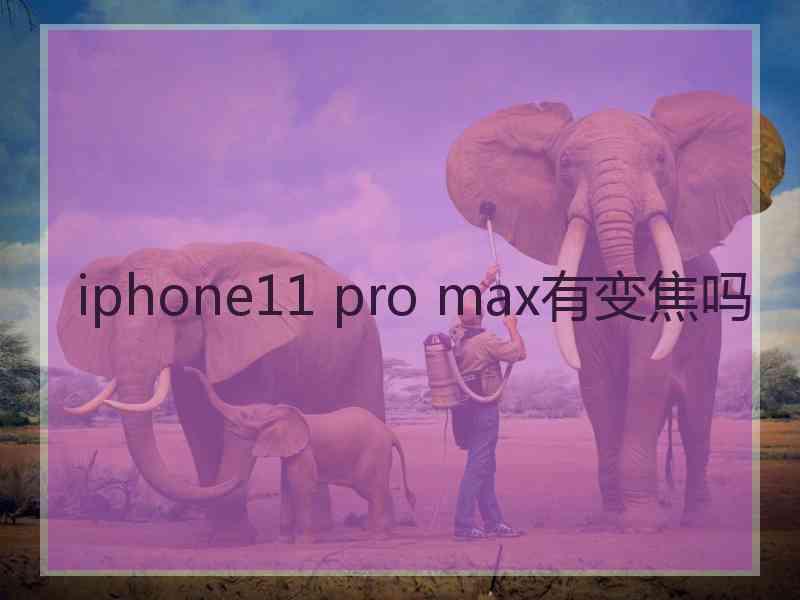 iphone11 pro max有变焦吗