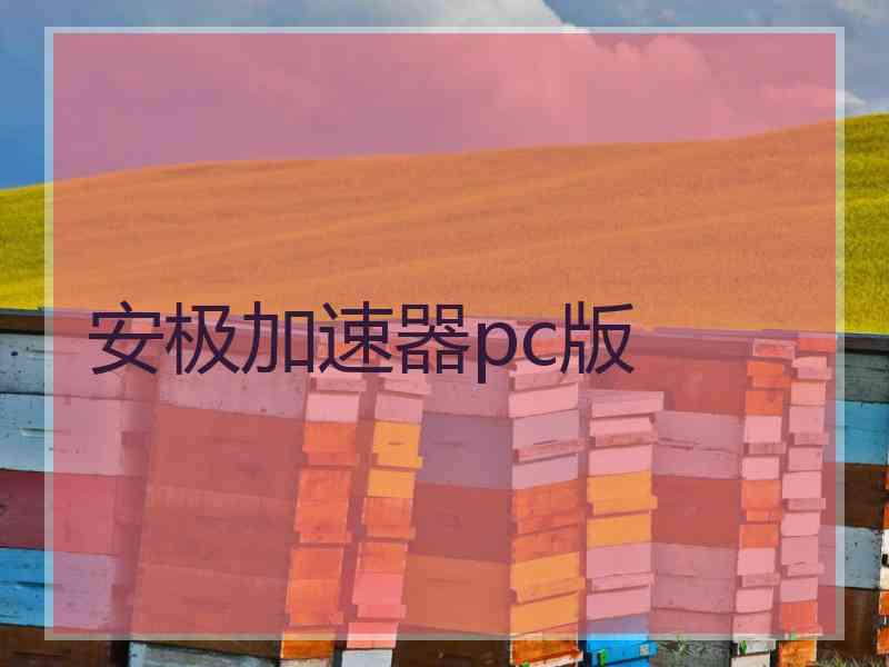 安极加速器pc版