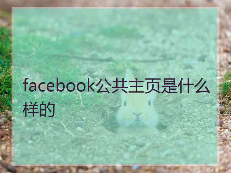 facebook公共主页是什么样的