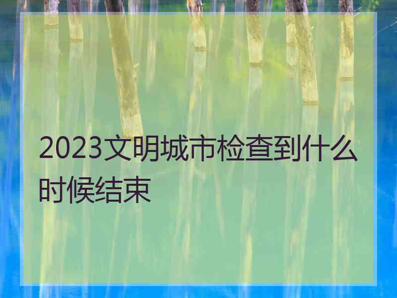 2023文明城市检查到什么时候结束