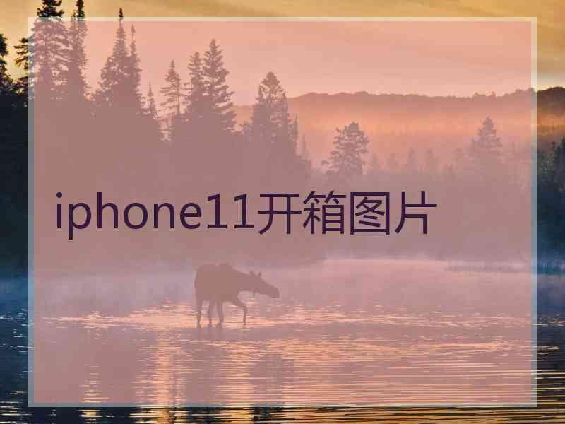 iphone11开箱图片