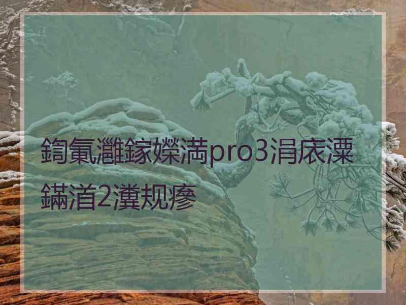 鍧氭灉鎵嬫満pro3涓庡潥鏋渞2瀵规瘮