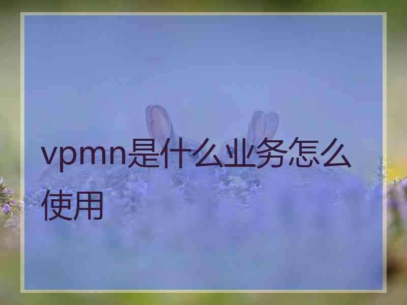 vpmn是什么业务怎么使用