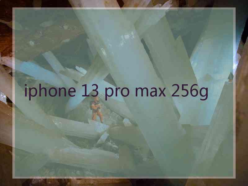 iphone 13 pro max 256g