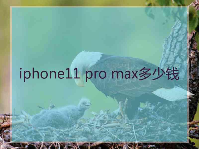 iphone11 pro max多少钱