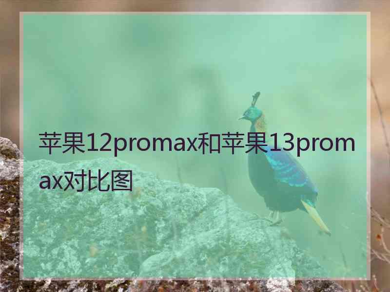 苹果12promax和苹果13promax对比图