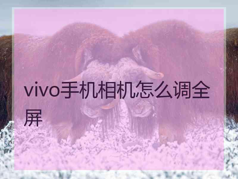 vivo手机相机怎么调全屏