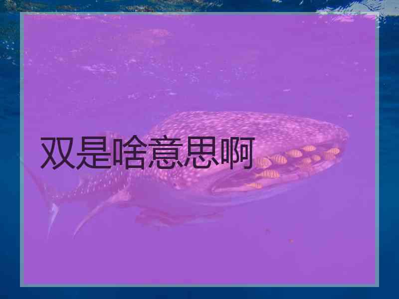 双是啥意思啊