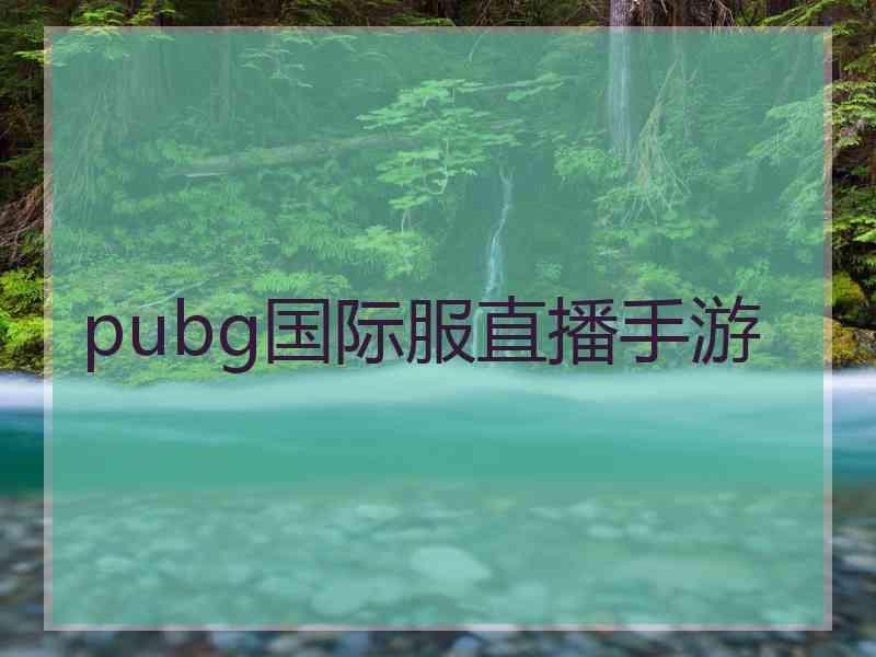 pubg国际服直播手游