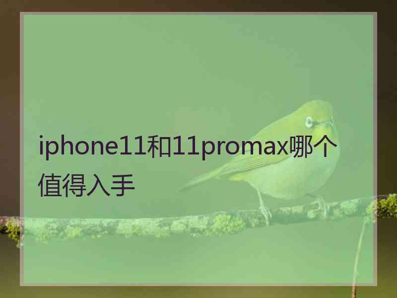 iphone11和11promax哪个值得入手