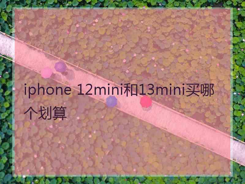 iphone 12mini和13mini买哪个划算