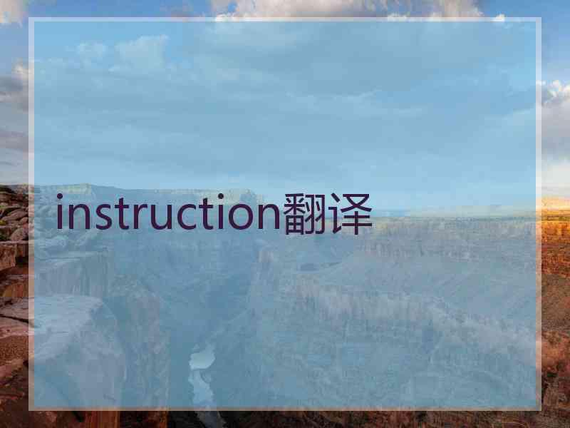 instruction翻译