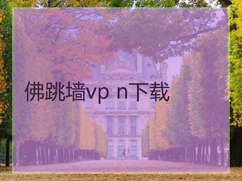 佛跳墙vp n下载