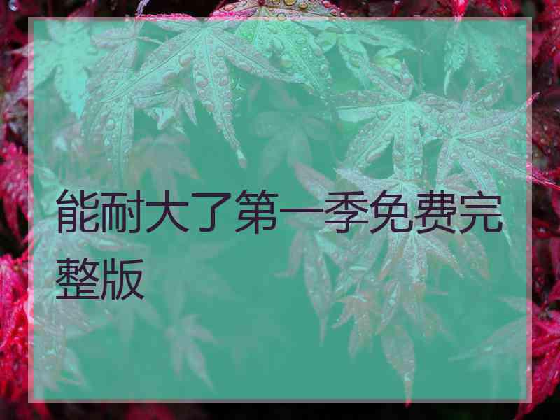 能耐大了第一季免费完整版