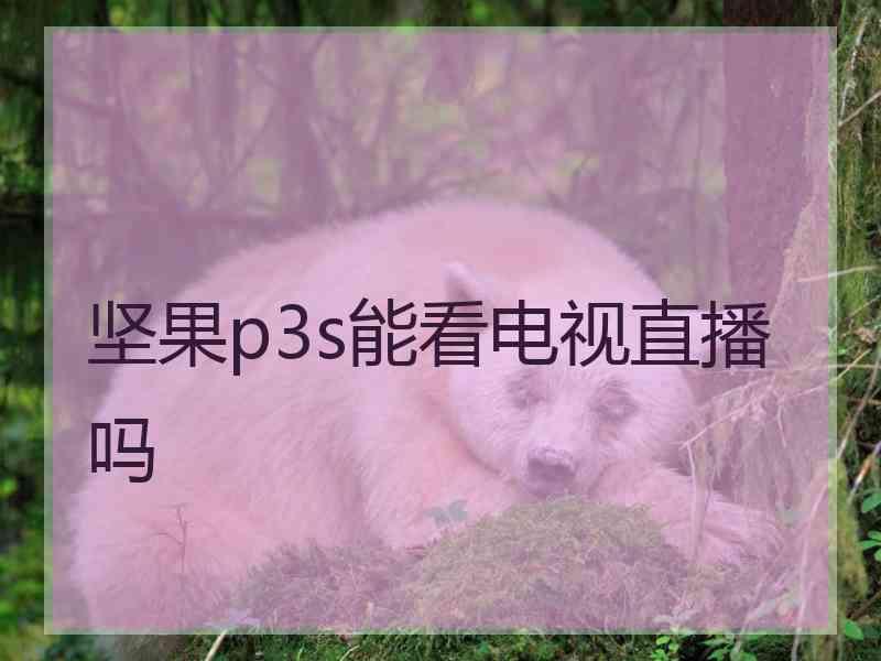 坚果p3s能看电视直播吗