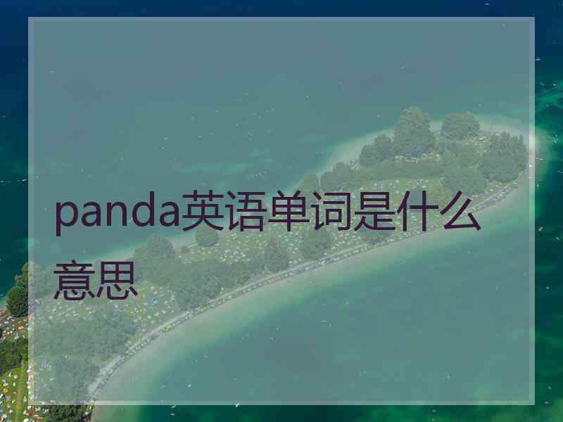 panda英语单词是什么意思