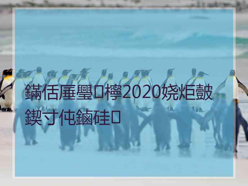 鏋佸厜璺檸2020娆炬皼鍥寸伅鏀硅