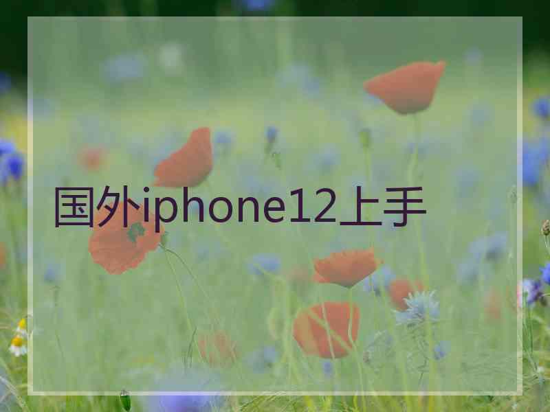 国外iphone12上手