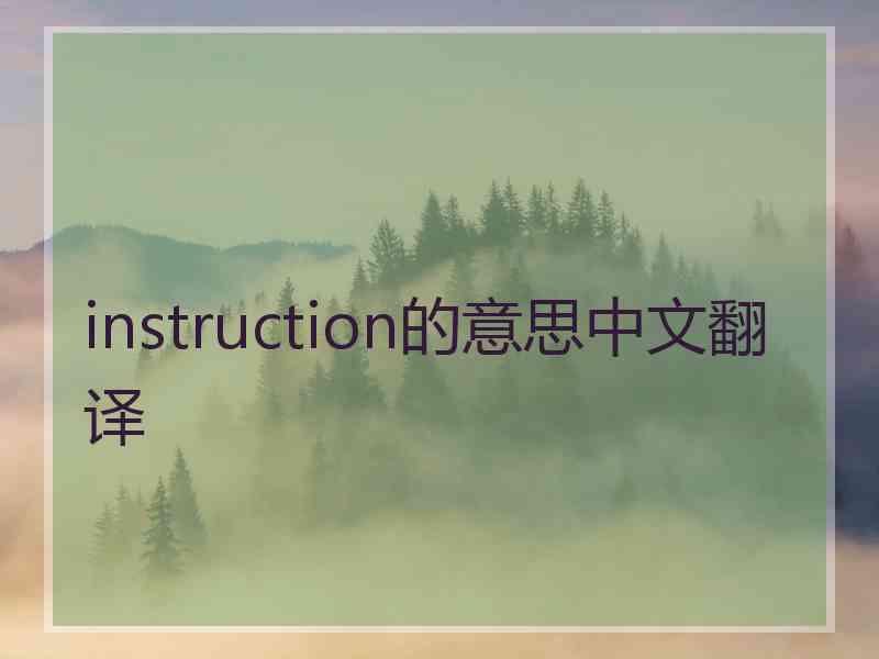 instruction的意思中文翻译