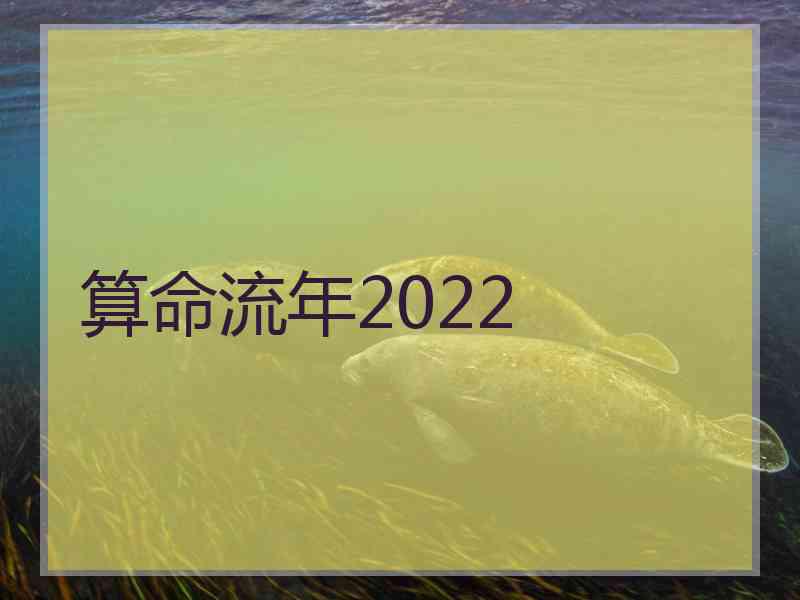 算命流年2022