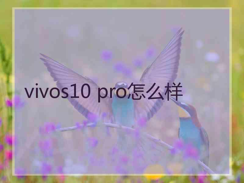 vivos10 pro怎么样