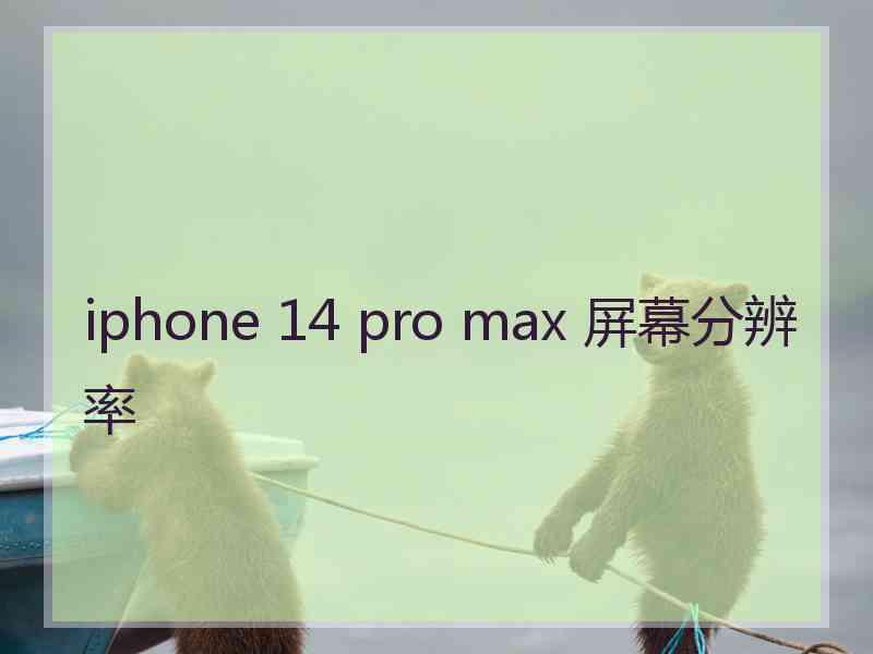 iphone 14 pro max 屏幕分辨率